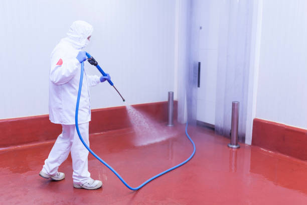 Best Building Exterior Washing  in Mill Creek, WA